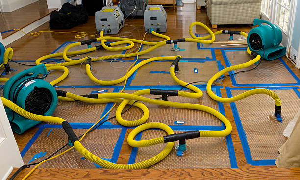 Professional Basement Flood Cleanup technician working in La Porte, TX